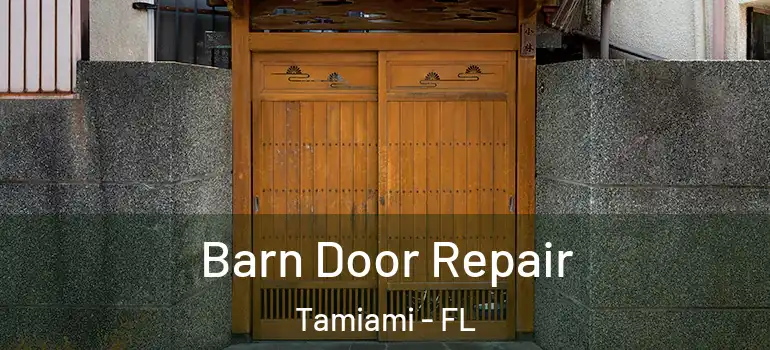  Barn Door Repair Tamiami - FL