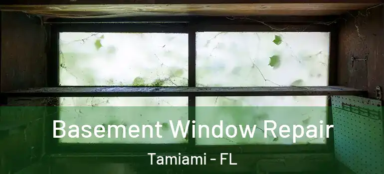  Basement Window Repair Tamiami - FL