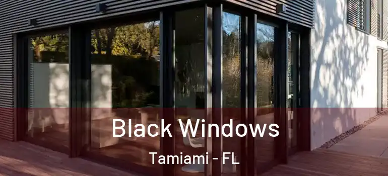  Black Windows Tamiami - FL