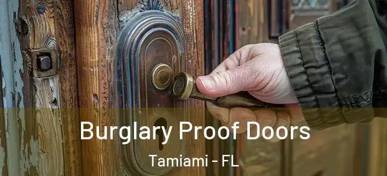  Burglary Proof Doors Tamiami - FL