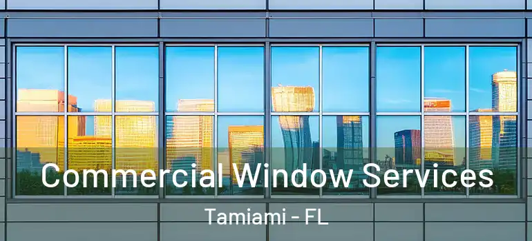  Commercial Window Services Tamiami - FL