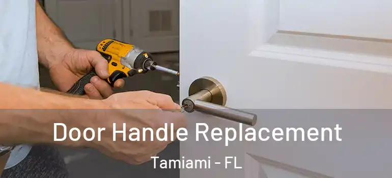  Door Handle Replacement Tamiami - FL