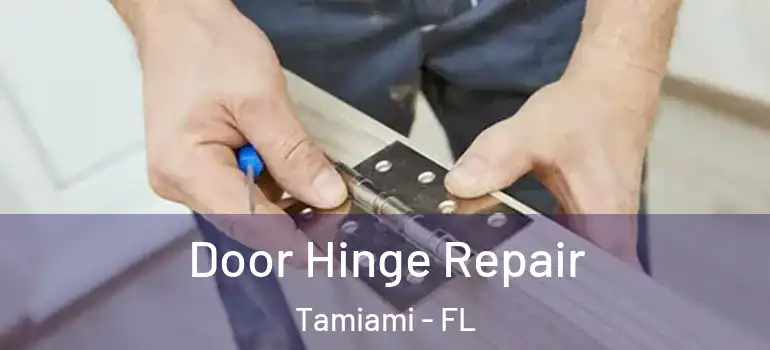  Door Hinge Repair Tamiami - FL