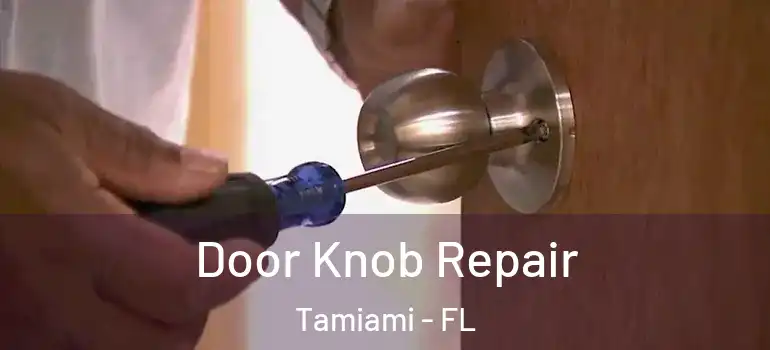  Door Knob Repair Tamiami - FL