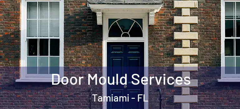  Door Mould Services Tamiami - FL