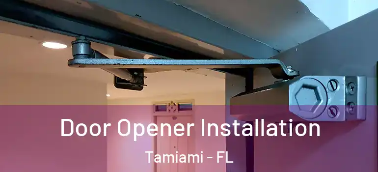  Door Opener Installation Tamiami - FL