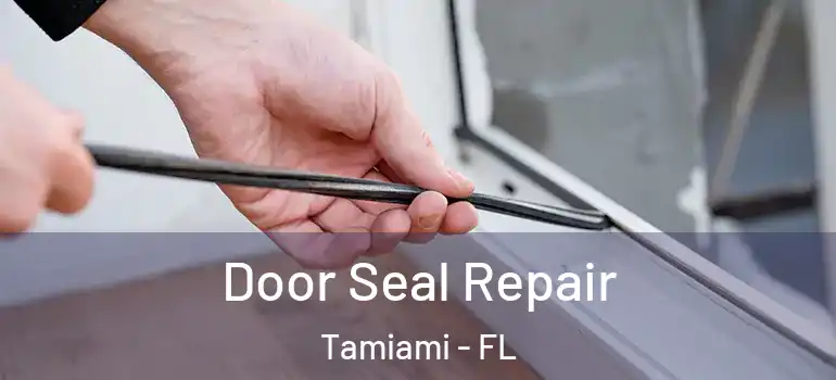  Door Seal Repair Tamiami - FL