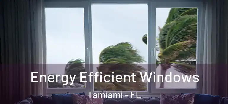  Energy Efficient Windows Tamiami - FL