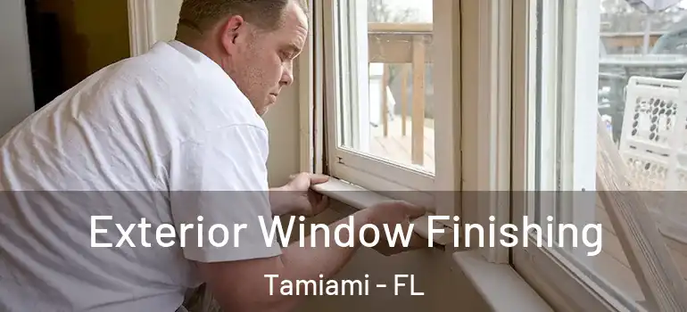  Exterior Window Finishing Tamiami - FL
