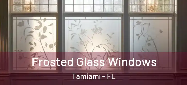  Frosted Glass Windows Tamiami - FL