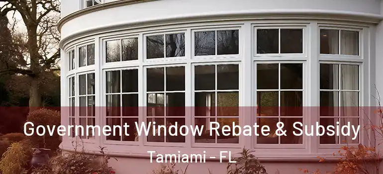  Government Window Rebate & Subsidy Tamiami - FL