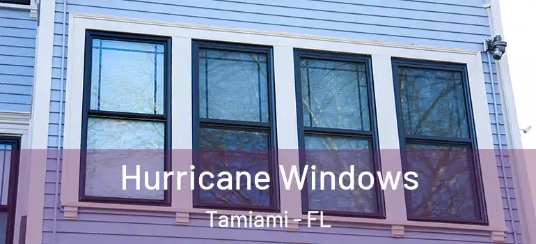  Hurricane Windows Tamiami - FL