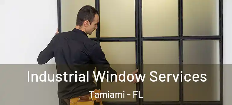  Industrial Window Services Tamiami - FL