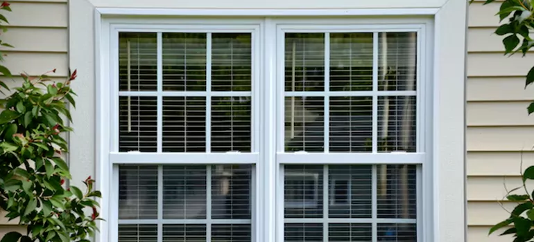 Custom Double Hung Windows in Tamiami, FL