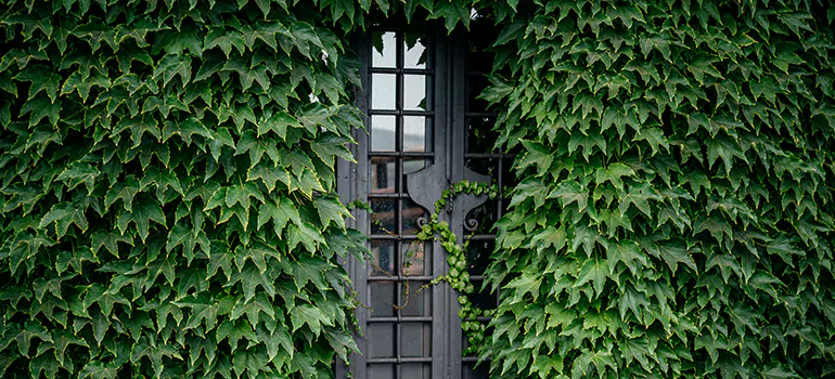 Garden Gate Repair in Tamiami, FL