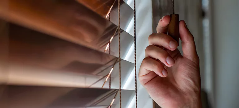 Double Roller Blinds in Tamiami, FL