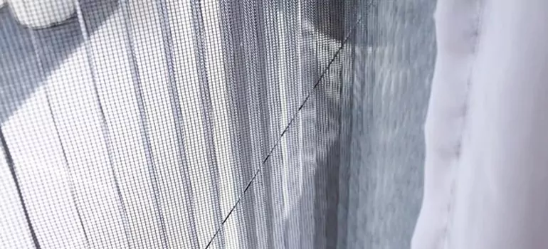 Fixing Screen Window Mesh in Tamiami, FL
