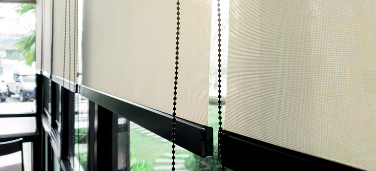 Blackout Window Shades in Tamiami, FL