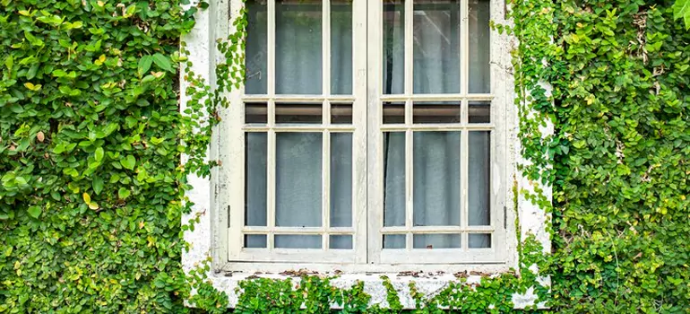 Garden Window Repair Near Me in Tamiami, FL
