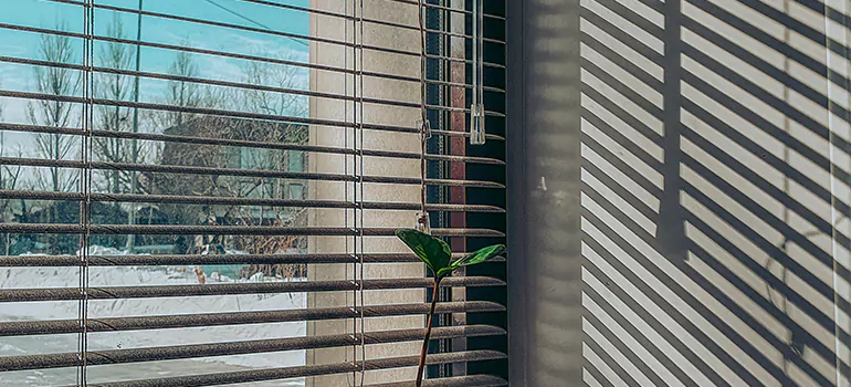 Commercial Window Blinds in Tamiami, FL
