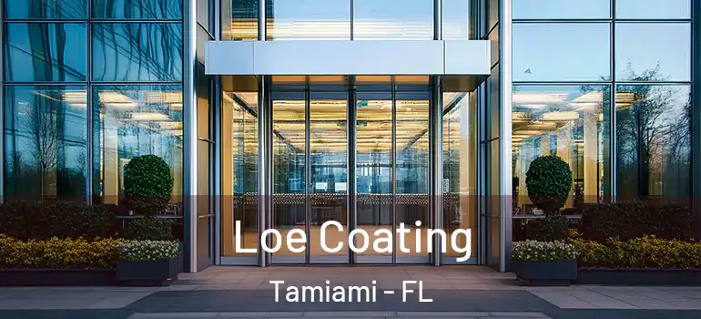  Loe Coating Tamiami - FL