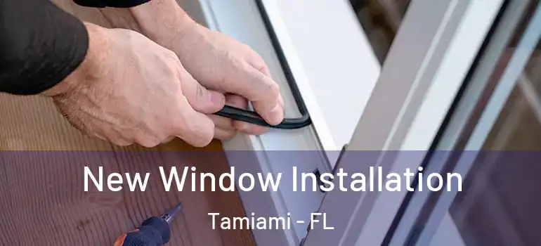  New Window Installation Tamiami - FL