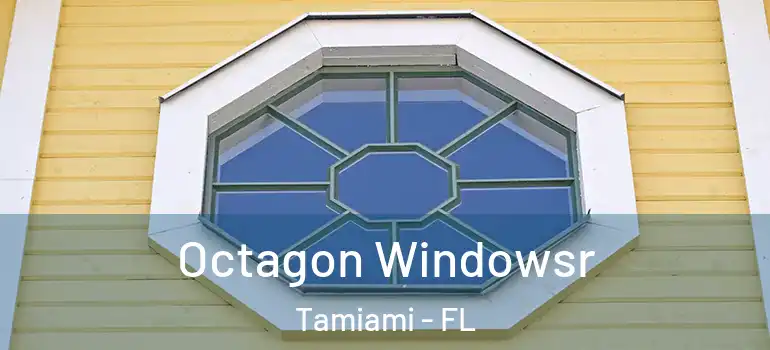  Octagon Windowsr Tamiami - FL