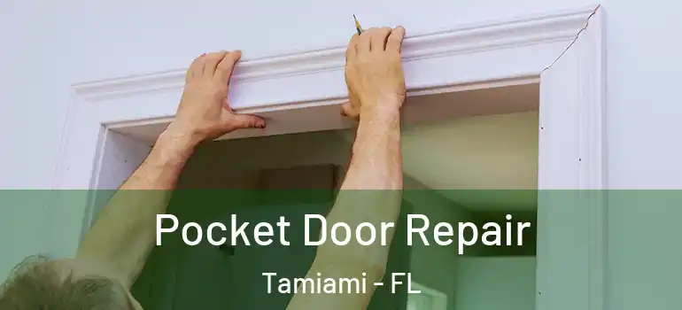  Pocket Door Repair Tamiami - FL