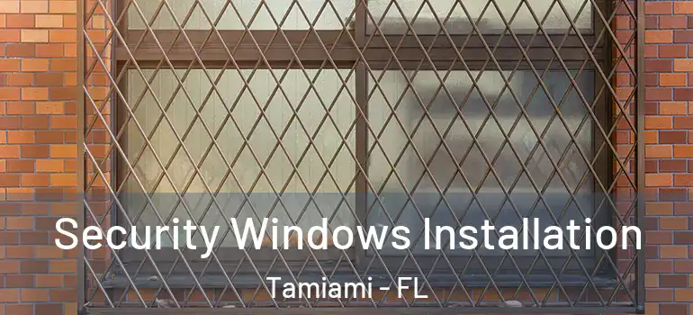  Security Windows Installation Tamiami - FL