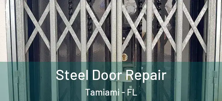  Steel Door Repair Tamiami - FL