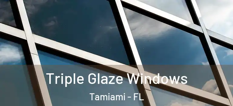  Triple Glaze Windows Tamiami - FL