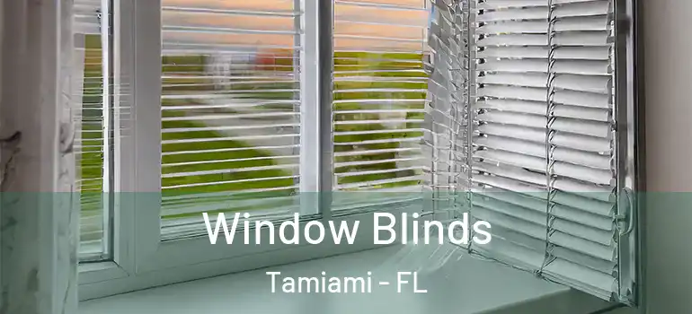  Window Blinds Tamiami - FL