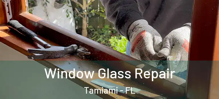 Window Glass Repair Tamiami - FL