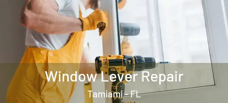  Window Lever Repair Tamiami - FL