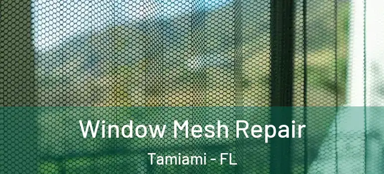  Window Mesh Repair Tamiami - FL