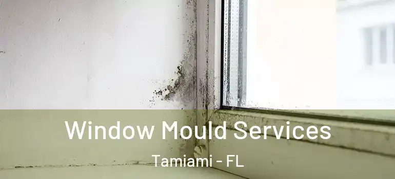  Window Mould Services Tamiami - FL