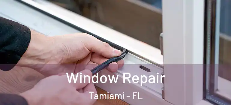 Window Repair Tamiami - FL