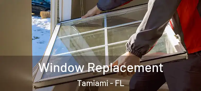  Window Replacement Tamiami - FL