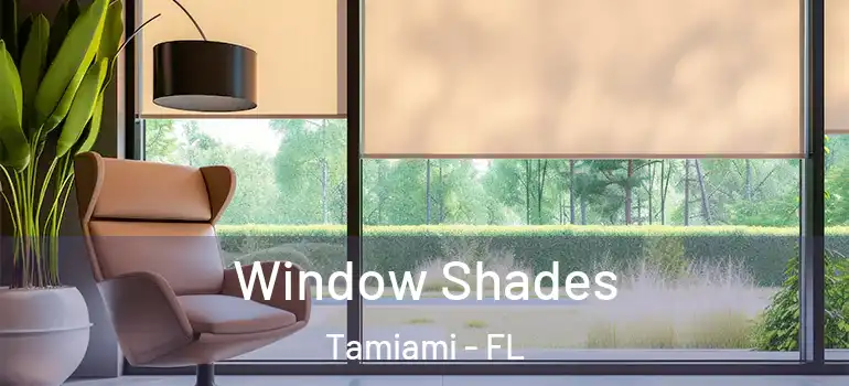  Window Shades Tamiami - FL
