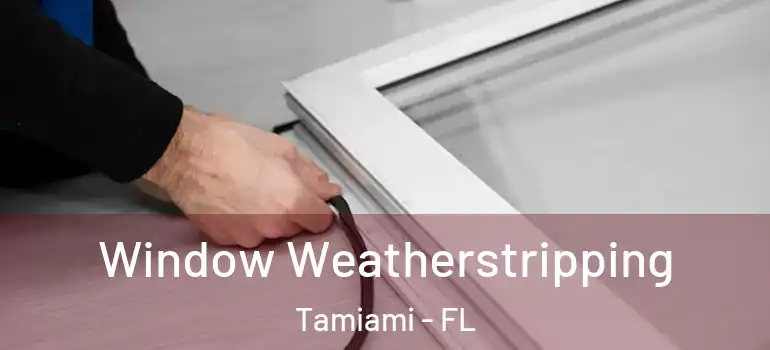  Window Weatherstripping Tamiami - FL