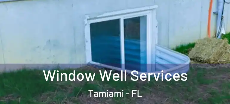 Window Well Services Tamiami - FL